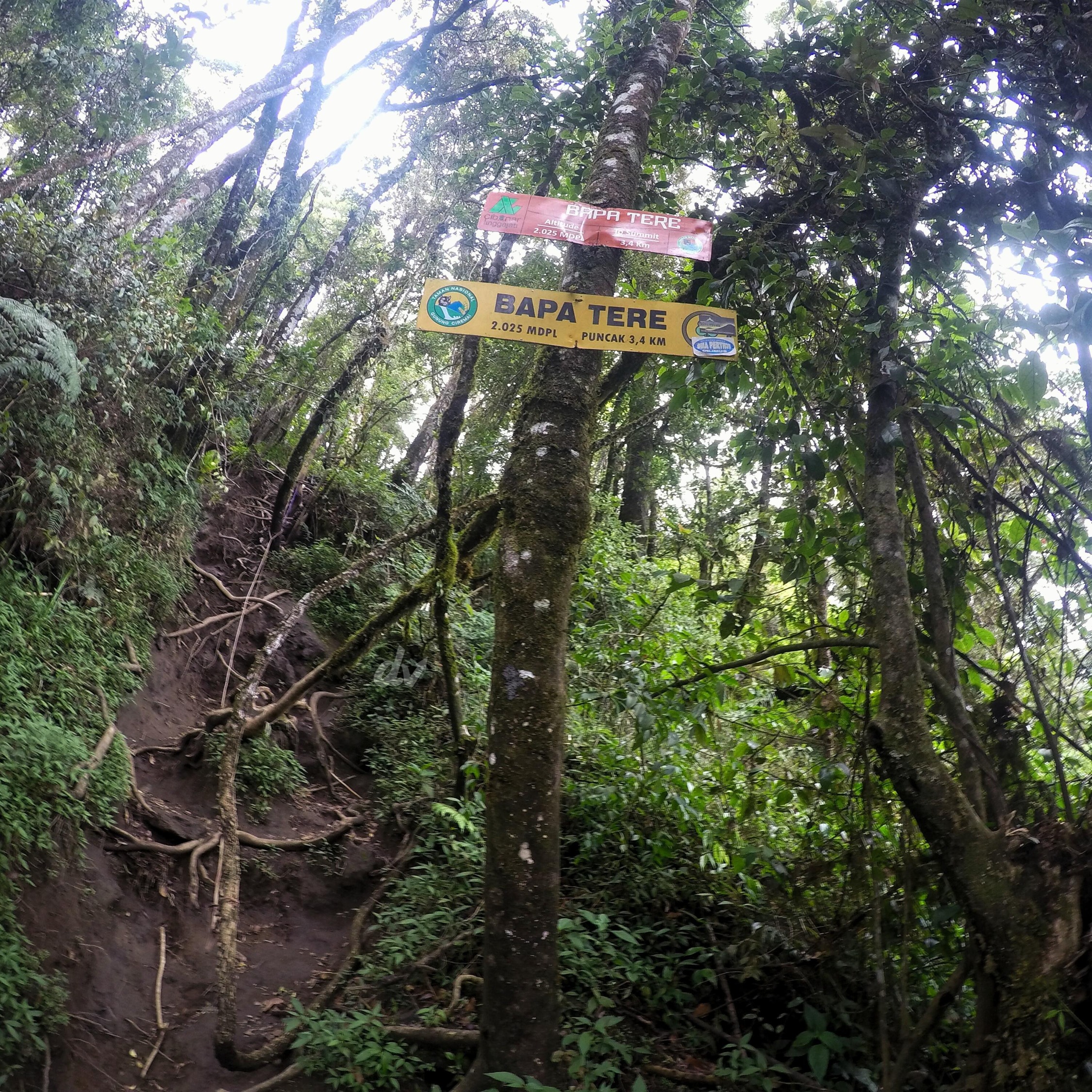 7 Tanjakan Paling Menantang Pada Jalur Pendakian Gunung Di Pulau Jawa