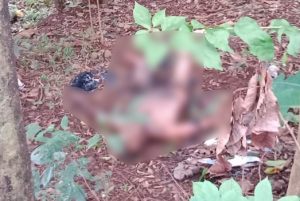 Korban Terbakar Di Area TPU Ciloklok Cilimus Meninggal Setelah Mendapatkan Perawatan