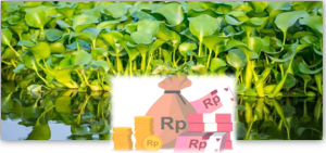 Pundi Rupiah Dari Eceng Gondok