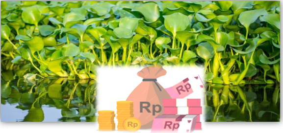 Pundi Rupiah Dari Eceng Gondok