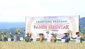 Memperkuat Ketahanan Pangan Dan Meningkatkan Kesejahteraan Petani Menjadi Tujuan Program 100 Hari Kerja Sektor Pertanian