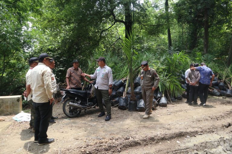Penanaman Kelapa Sawit Di Kabupaten Kuningan Mendapat Sorotan Dari Bupati Dian