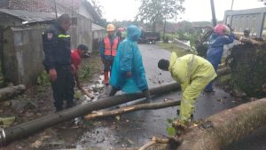 Pohon Tumbang Timpa Dapur Rumah Warga, Tiang Listrik Dan Tutup Akses Jalan Sangkanhurip - Manislor
