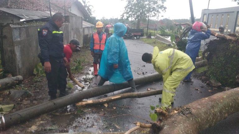 Pohon Tumbang Timpa Dapur Rumah Warga, Tiang Listrik Dan Tutup Akses Jalan Sangkanhurip - Manislor