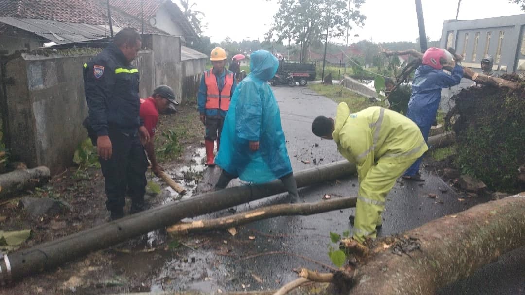 Pohon Tumbang Timpa Dapur Rumah Warga, Tiang Listrik Dan Tutup Akses Jalan Sangkanhurip - Manislor