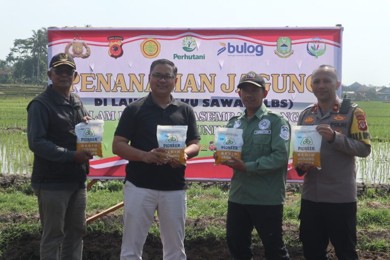 Tertanamnya Jagung Di Lahan 509 Hektar Jadi Bukti Sinergisitas Polres Dengan Diskatan Dorong Swasembada Pangan Di Kuningan