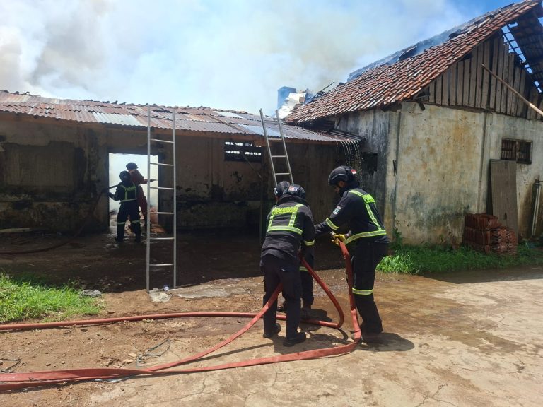 10 Ton Beras Hangus Akibat Kebakaran Pabrik Penggilingan Padi Di Desa Sindangagung
