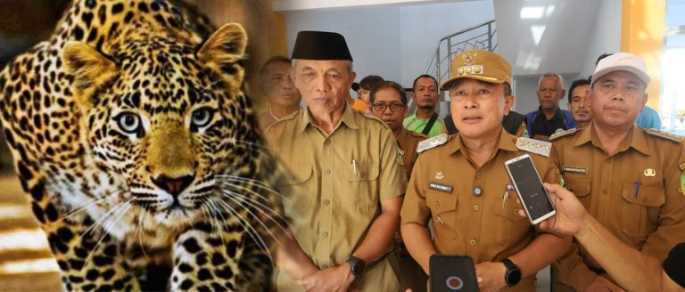 Macan Tutul Terjebak Di Gedung Balai Desa, Bupati Kuningan Turun Langsung Ke Lokasi Kejadian