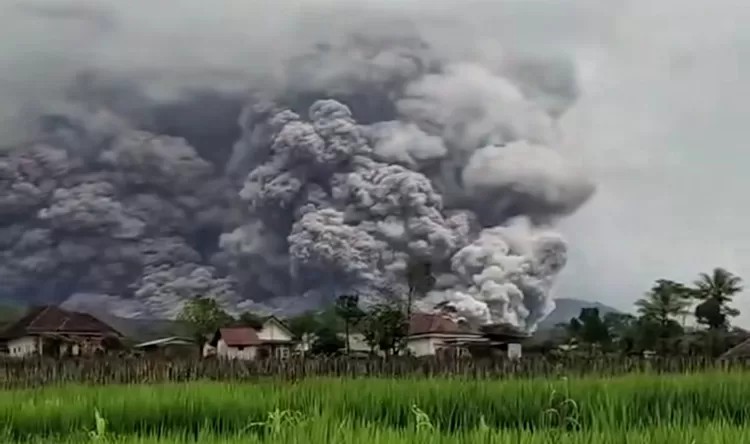 Kembali Terjadi Misinformasi Jumlah Korban Meninggal Dalam Bencana Erupsi Semeru Bukan 709 Orang