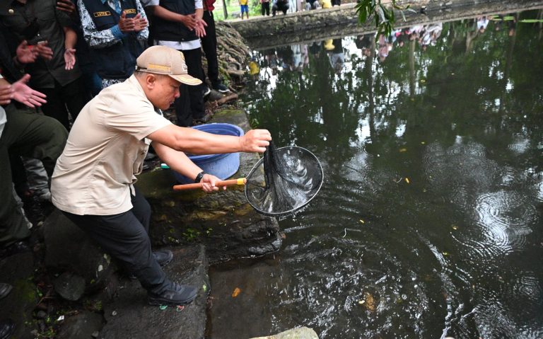Berharap Situs Kebon Balong Sangkanurip Terjaga Kelestariannya, Ratusan Ikan Dewa Ditebar Bupati Kuningan