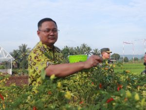Jelang Natal Dan Tahun Baru 2026 Kondisi Ketahanan Pangan Di Kabupaten Kuningan Dipastikan Aman