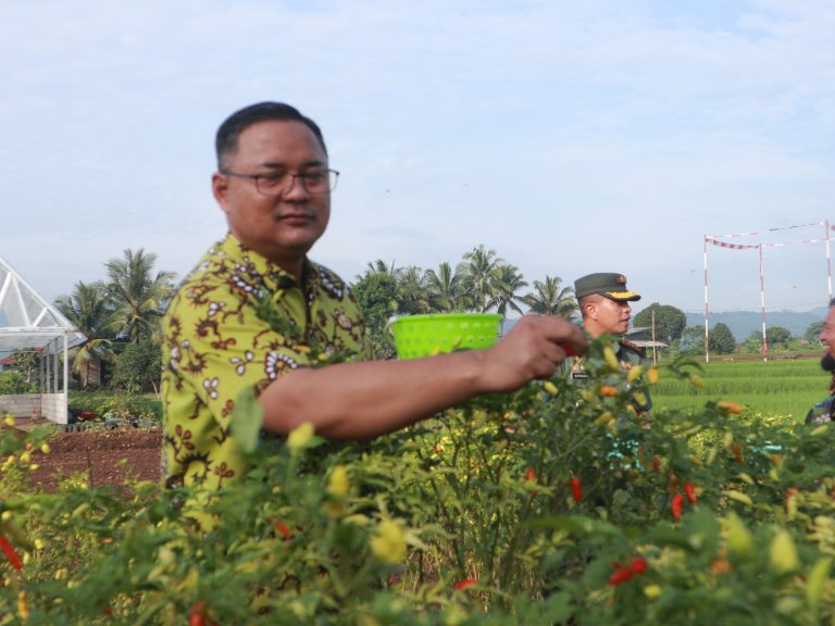 Jelang Natal Dan Tahun Baru 2026 Kondisi Ketahanan Pangan Di Kabupaten Kuningan Dipastikan Aman