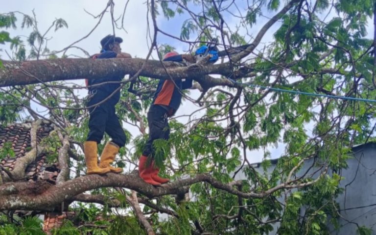 Gerak Cepat Kolaborasi BPBD Dan UPT Damkar Antisipasi Lokasi Terdampak Bencana Angin Kencang Di Kuningan