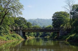 WhatsApp Image 2026-03-06 at 06.04.38 (1)