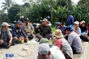 Gerak Cepat Kendalikan Wereng, 20 Hektare Sawah Di Kuningan Terselamatkan Dari Ancaman Puso