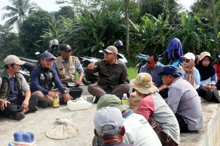 Gerak Cepat Kendalikan Wereng, 20 Hektare Sawah Di Kuningan Terselamatkan Dari Ancaman Puso