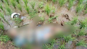 Diduga Akibat Terkena Serangan Jantung, Warga Cibeureum Ditemukan Meninggal Dunia Di Petak Sawah
