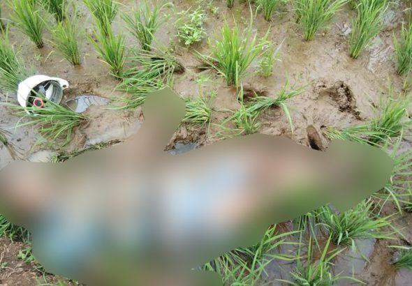 Diduga Akibat Terkena Serangan Jantung, Warga Cibeureum Ditemukan Meninggal Dunia Di Petak Sawah