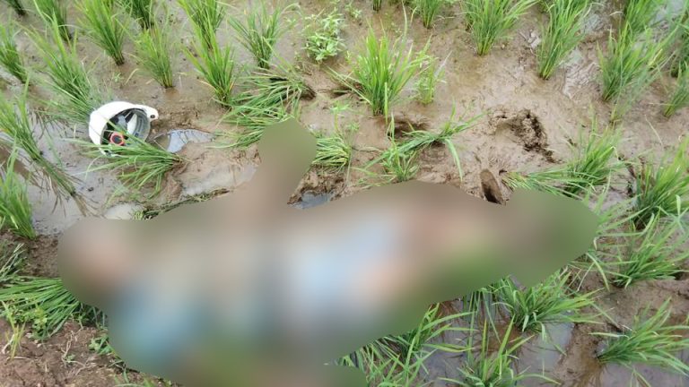 Diduga Akibat Terkena Serangan Jantung, Warga Cibeureum Ditemukan Meninggal Dunia Di Petak Sawah