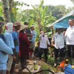 Petani Kuningan Terapkan Pengendalian Penggerek Batang Berbasis Ekosistem Untuk Tekan Serangan Hama Sejak Dini