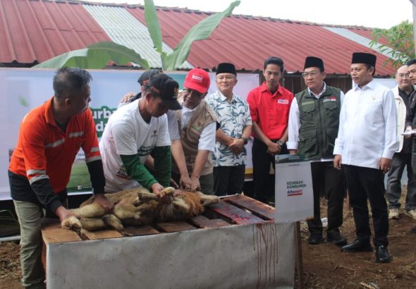 Tepat Pada Idul Adha 1447 H Baznas RI dan Jabar Berkurban di Balai Ternak Mukti Raharja Desa Sayana Kuningan