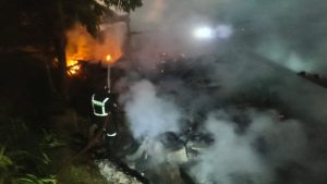 Ribuan Ekor Ayam dan Puyuh Hangus Dalam Peristiwa Kebakaran Bangunan Peternakan di Desa Pamulihan