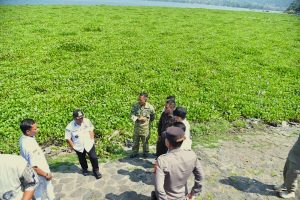 Waduk Darma Kembali Diserang Eceng Gondok Ini Yang Dilakukan Pemda Kuningan
