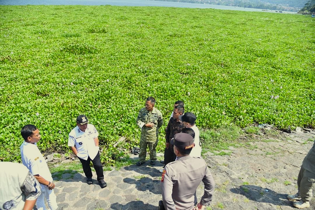 Waduk Darma Kembali Diserang Eceng Gondok Ini Yang Dilakukan Pemda Kuningan