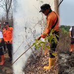 40 Hektare Hutan Taman Nasional Gunung Ciremai Terbakar, Pemadaman Terkendala Medan Terjal dan Angin Kencang