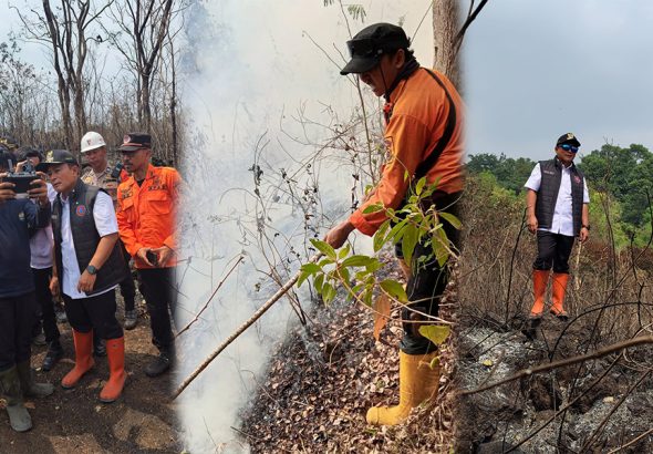 40 Hektare Hutan Taman Nasional Gunung Ciremai Terbakar, Pemadaman Terkendala Medan Terjal dan Angin Kencang