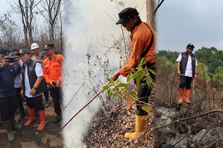 40 Hektare Hutan Taman Nasional Gunung Ciremai Terbakar, Pemadaman Terkendala Medan Terjal dan Angin Kencang