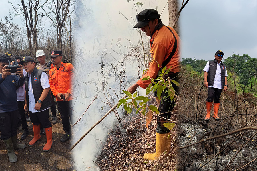 40 Hektare Hutan Taman Nasional Gunung Ciremai Terbakar, Pemadaman Terkendala Medan Terjal dan Angin Kencang